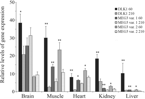 Figure 1