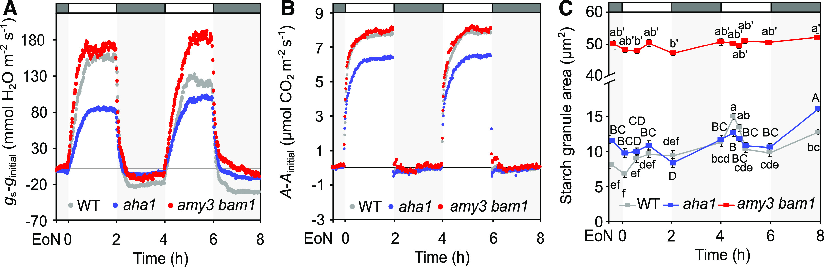 Figure 7.