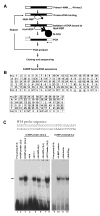 FIG. 3