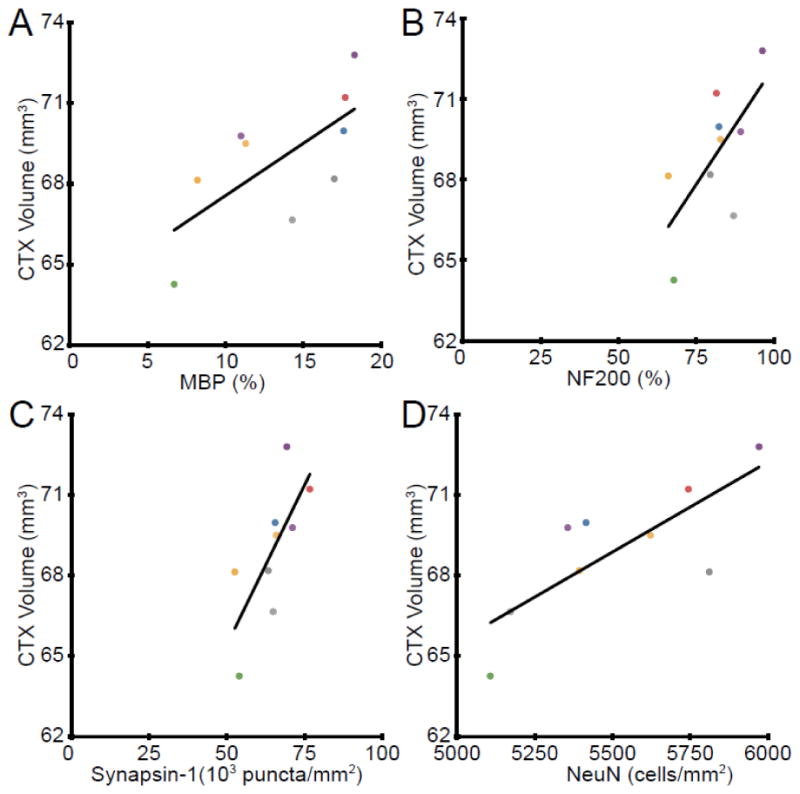 Fig. 10