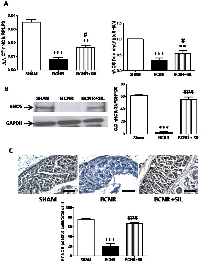 FIG. 6