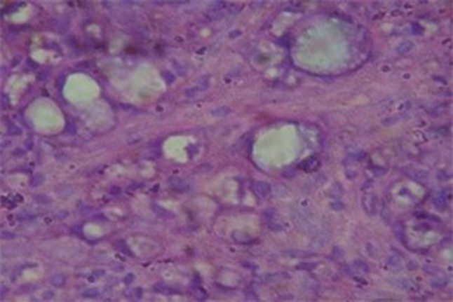 Fig. 5