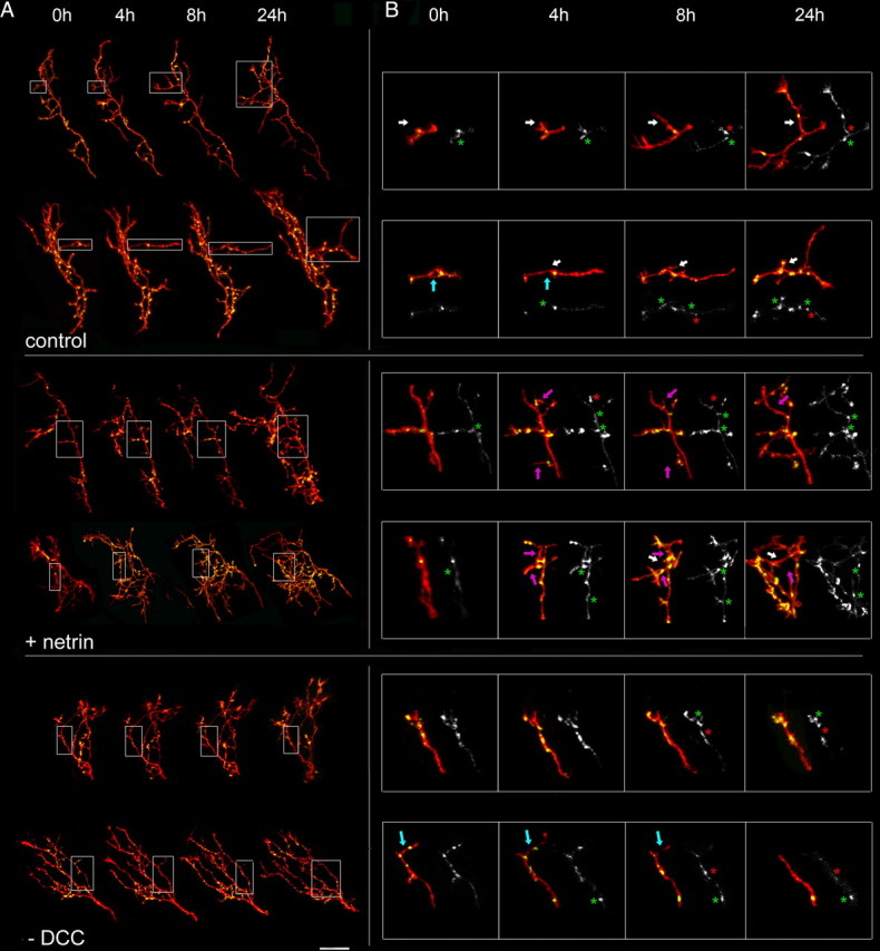 Figure 6.