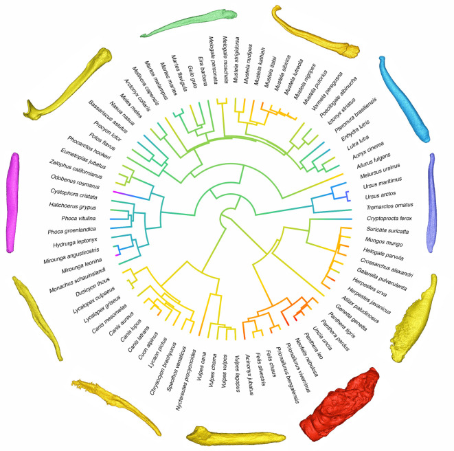 Figure 2.