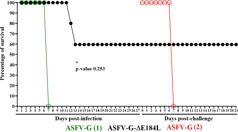 FIG 6