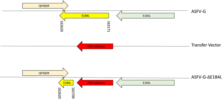 FIG 1