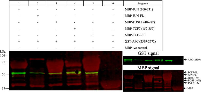 Fig. 6