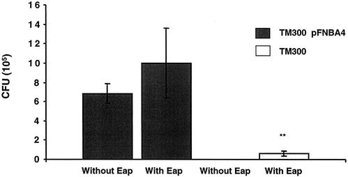 FIG. 5.