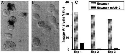 FIG. 2.