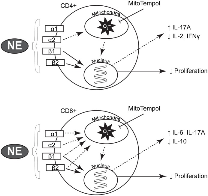 Fig 8