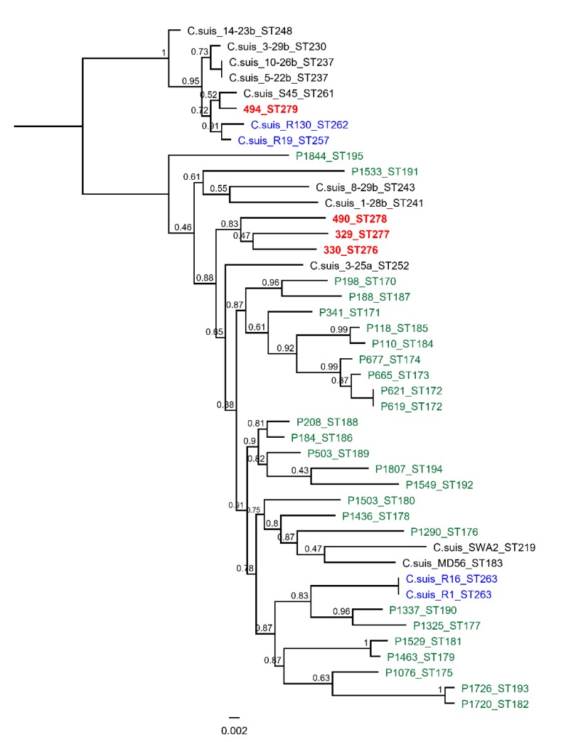 Figure 1