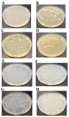 Figure 4.