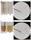 Figure 5.
