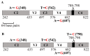 Figure 16.