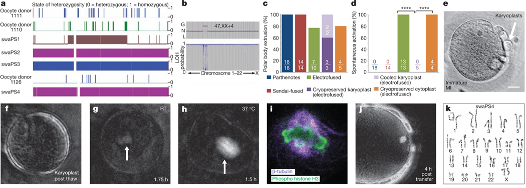 Figure 2 |