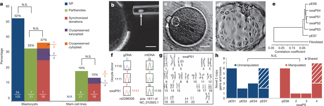 Figure 1 |