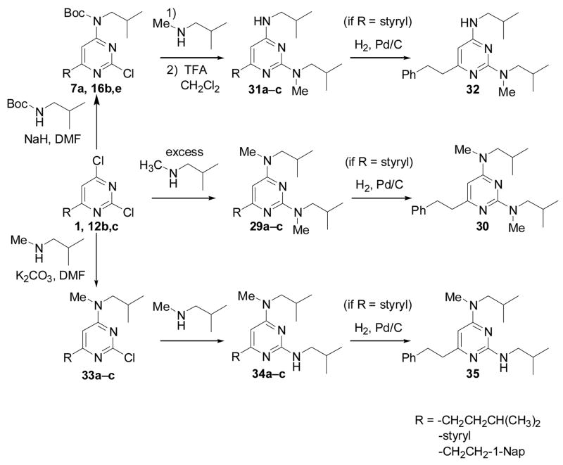 Scheme 5