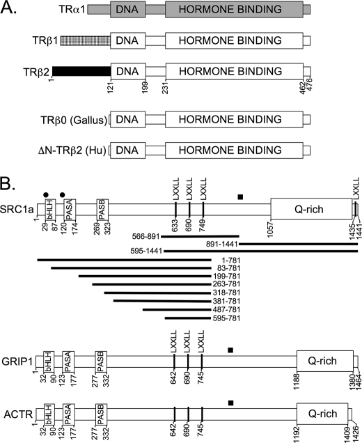 FIGURE 1.