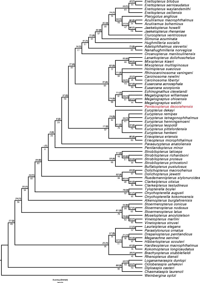 Fig. 21