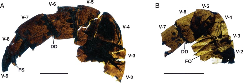 Fig. 12