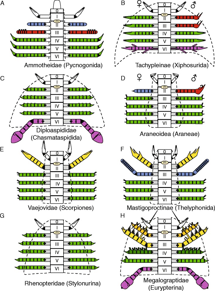 Fig. 26