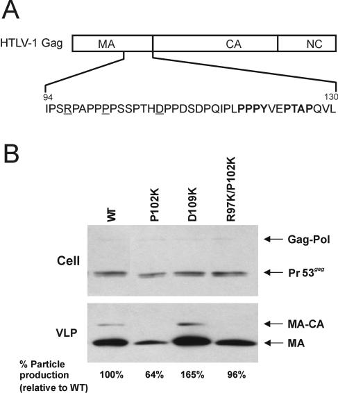 FIG. 8.