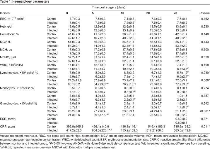 graphic file with name biolopen-8-045203-i1.jpg