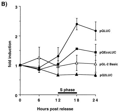 FIG. 6