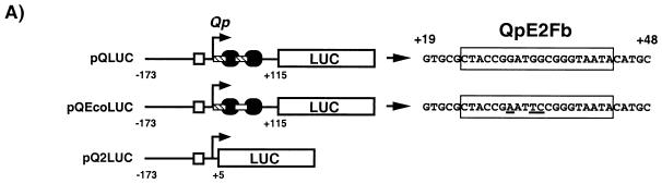 FIG. 6