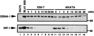 FIG. 5