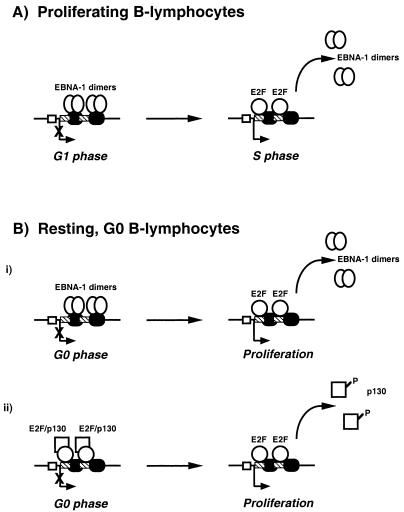 FIG. 7