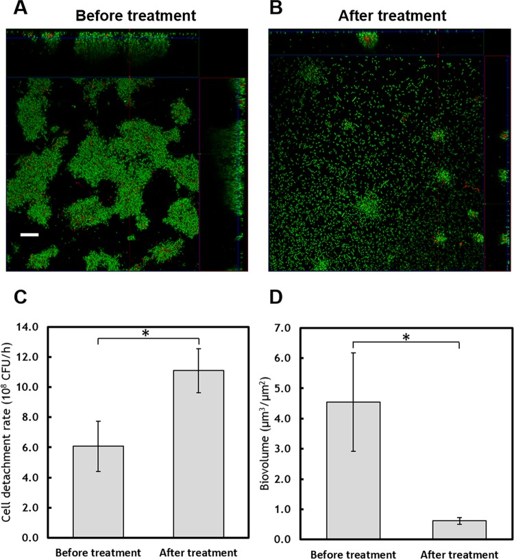 FIG 4