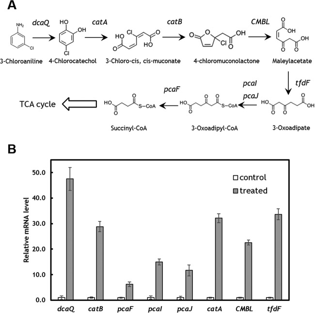 FIG 2