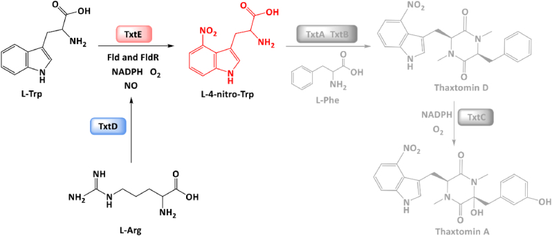 Fig. 1