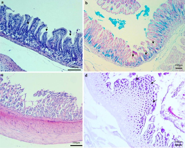 Fig. 3