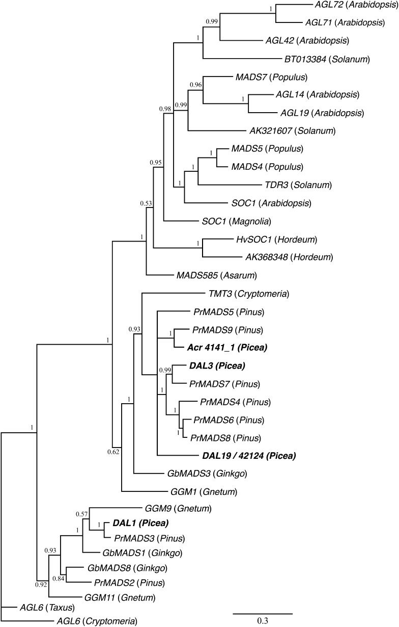 Figure 3.