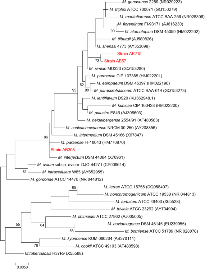 Figure 2