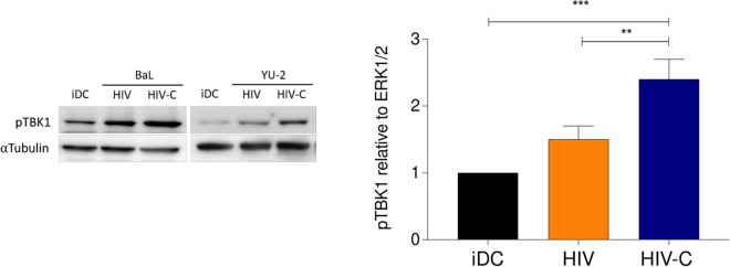 FIG 3