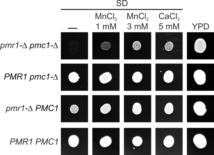 Fig 3