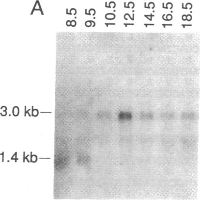 graphic file with name pnas01060-0201-c.jpg