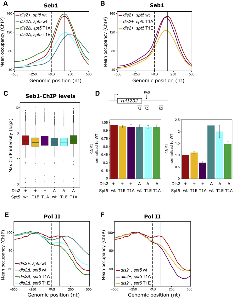 Figure 6