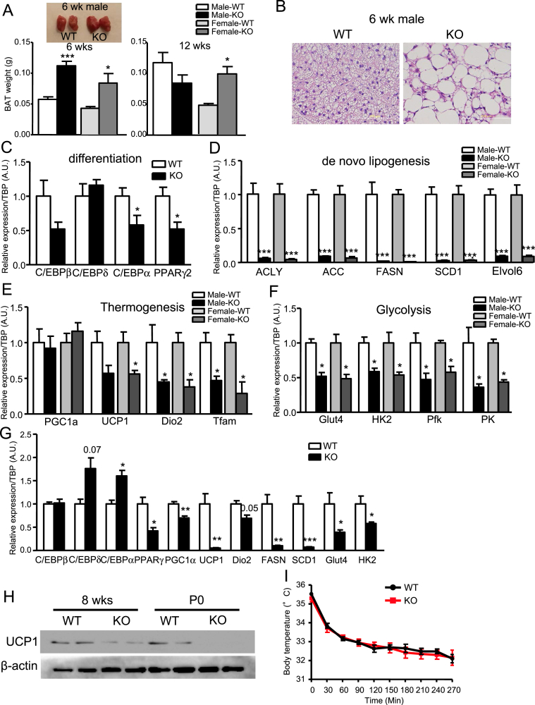 Figure 6