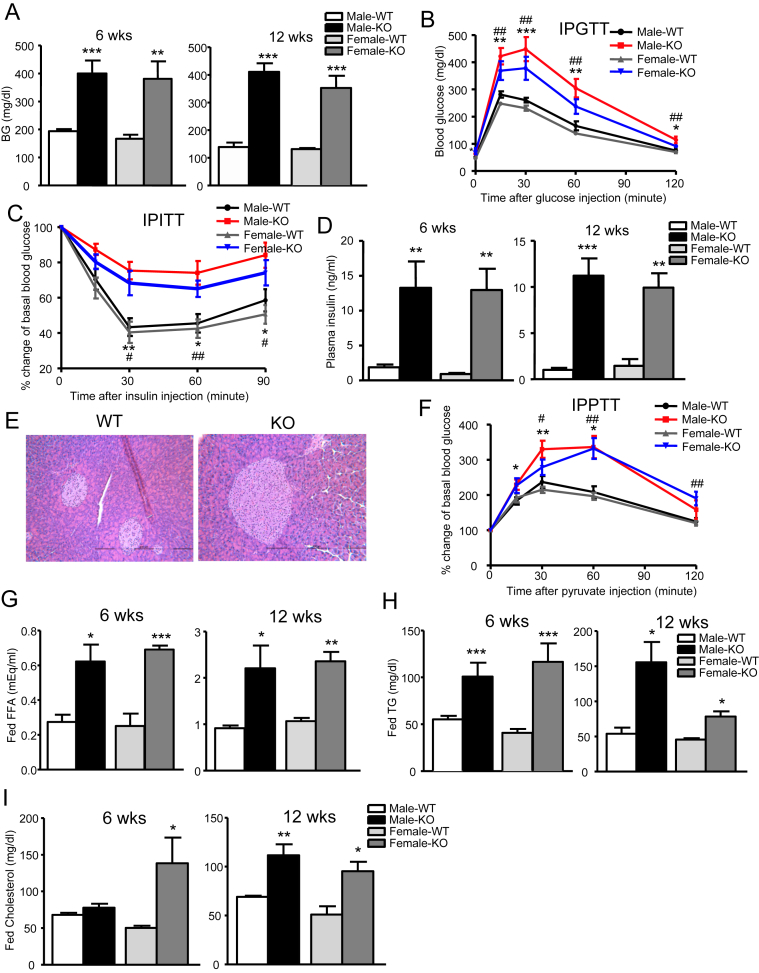 Figure 5