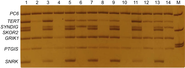 Figure 4