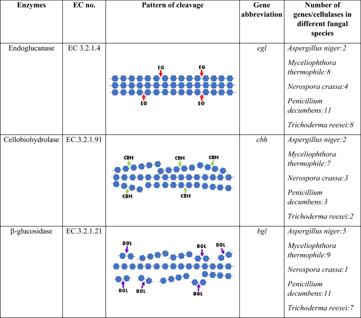 graphic file with name 43393_2021_45_Tab1_HTML.jpg