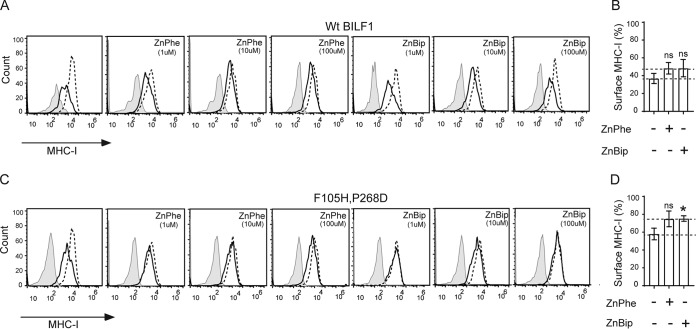 FIG 6