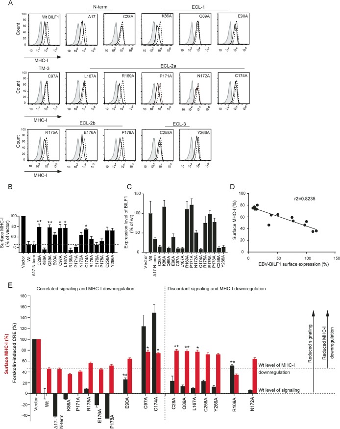 FIG 4