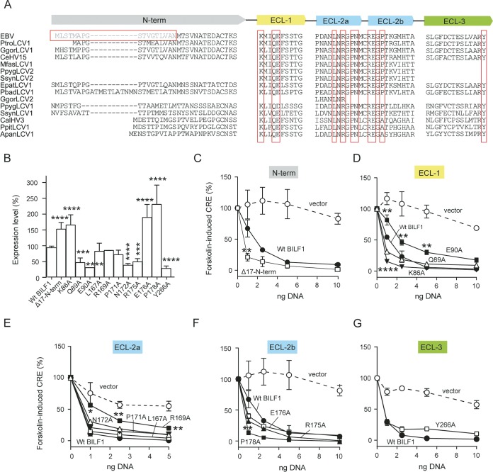 FIG 3