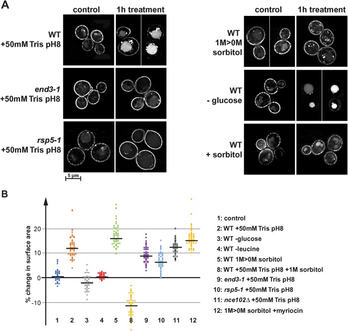 FIGURE 4: