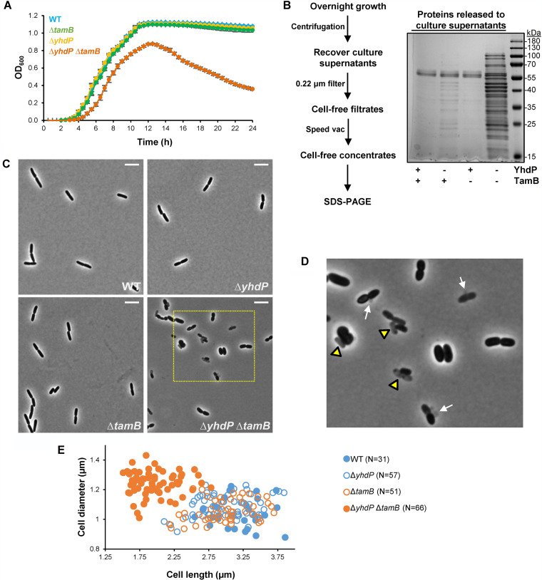 FIG 2